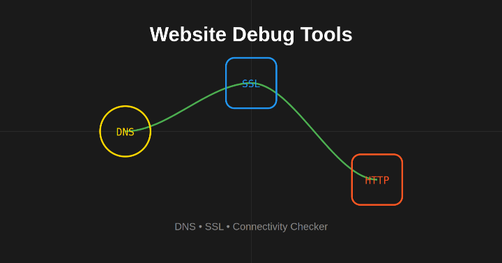 Terminal output showing DNS, SSL, and connectivity checks for a website